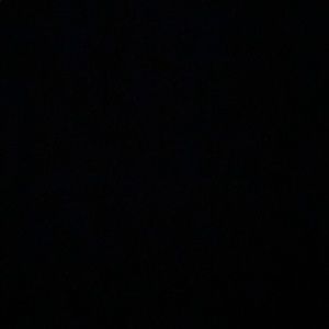 Meet your Posher, Darion